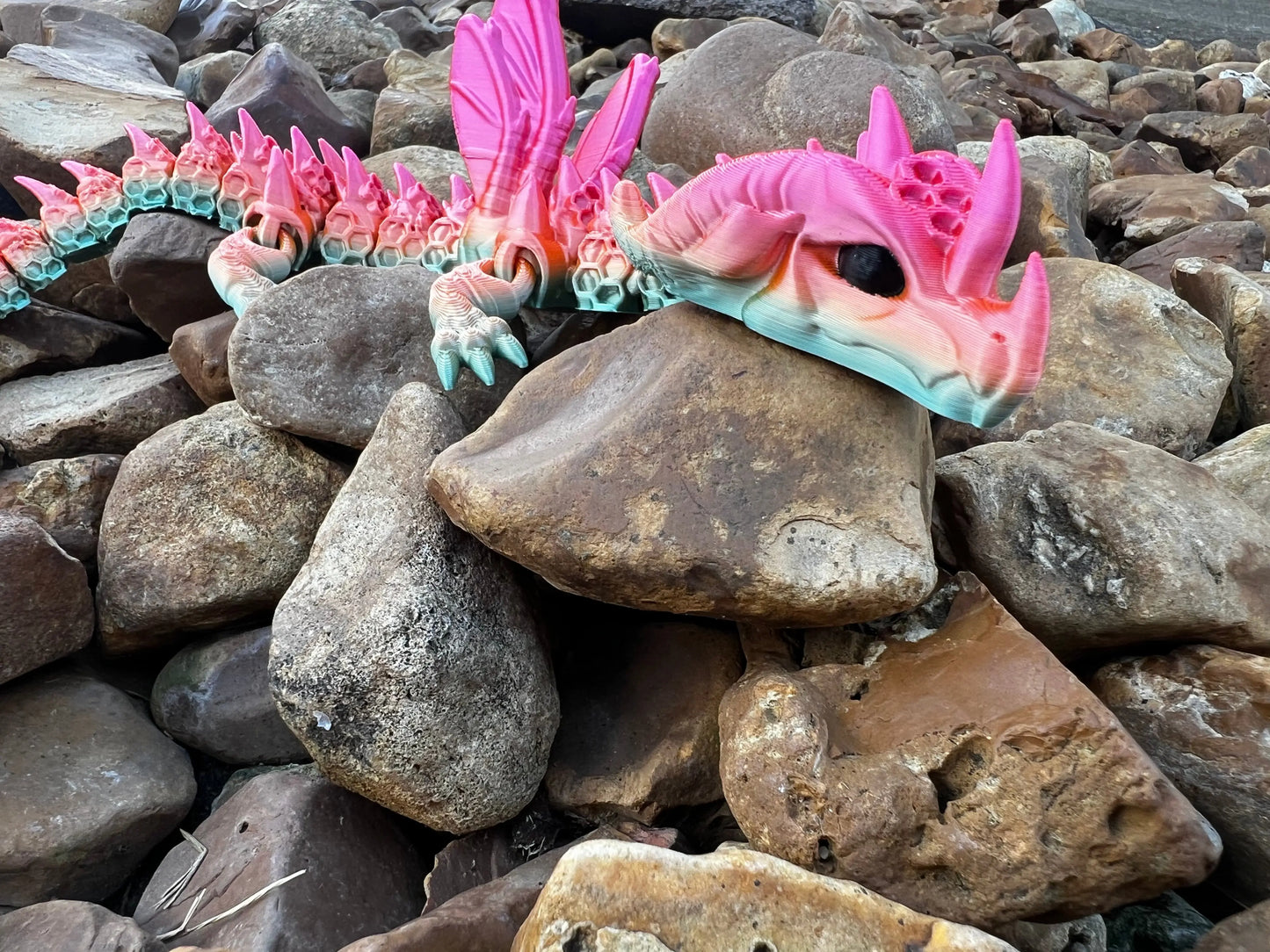 Exotic Flexi Dragons Pink Poodle Designz