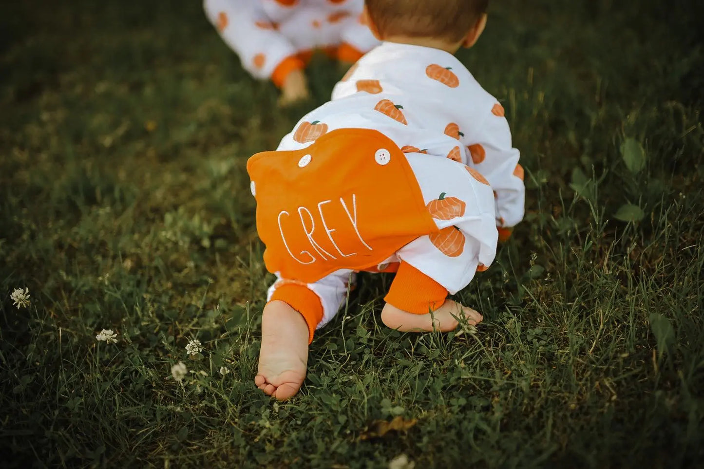 Sugarbee Blanks Pumpkin Dream - Buttflap Pajamas Sugarbee Blanks