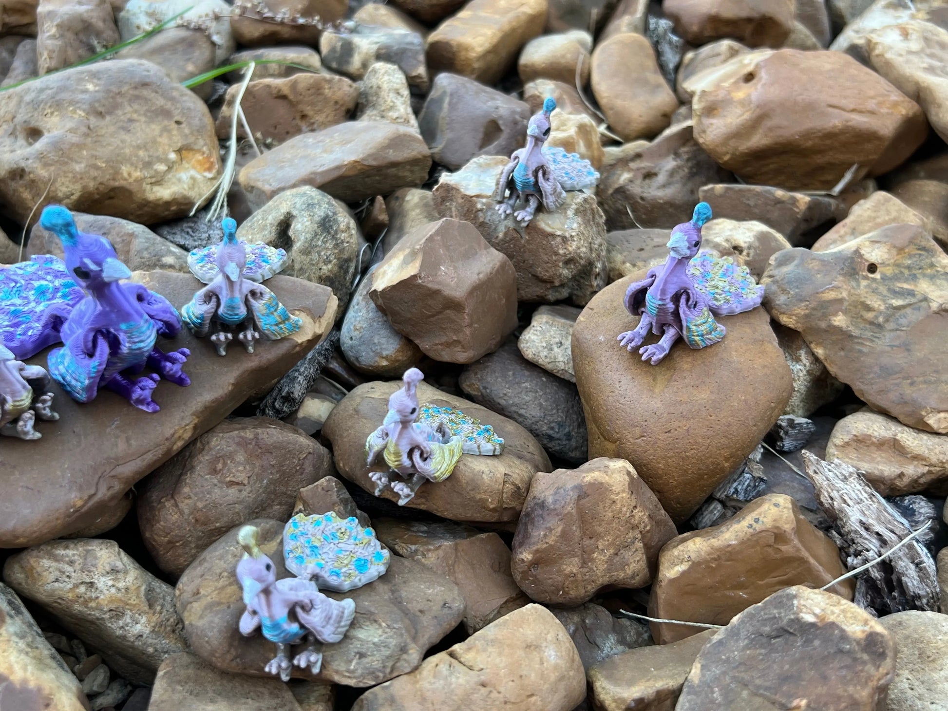 Flexi Birds Pink Poodle Designz